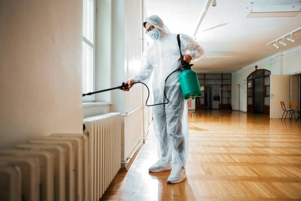 Best Emergency Pest Control  in Eustis, FL